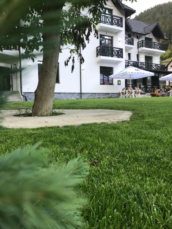 Pensiunea Edelweiss Voineasa Exterior foto