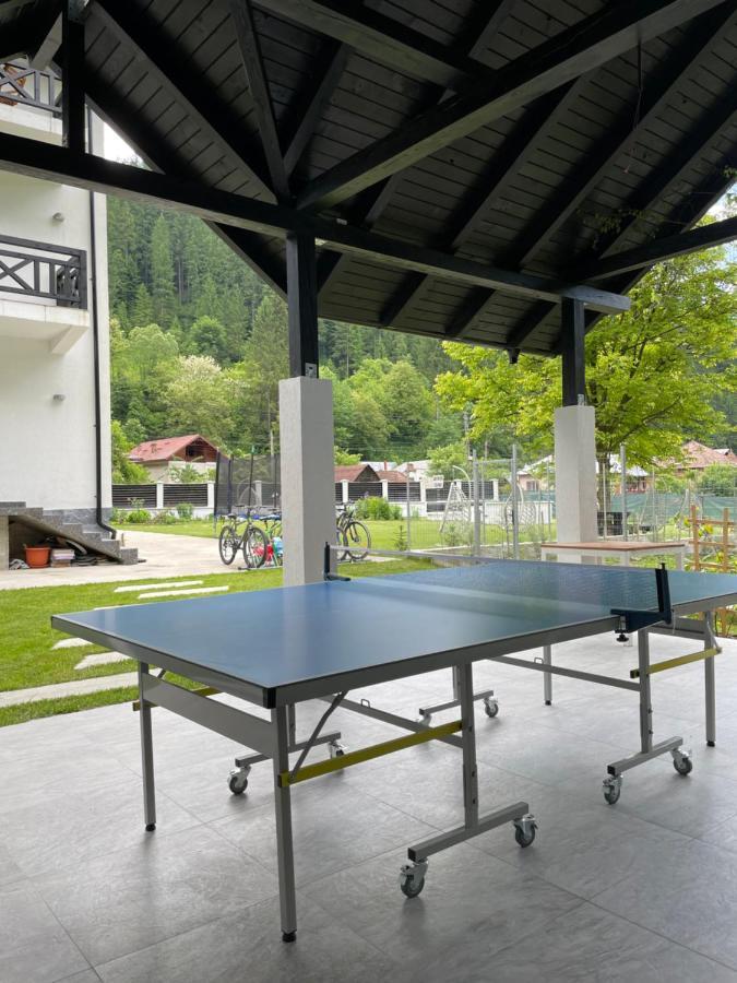 Pensiunea Edelweiss Voineasa Exterior foto