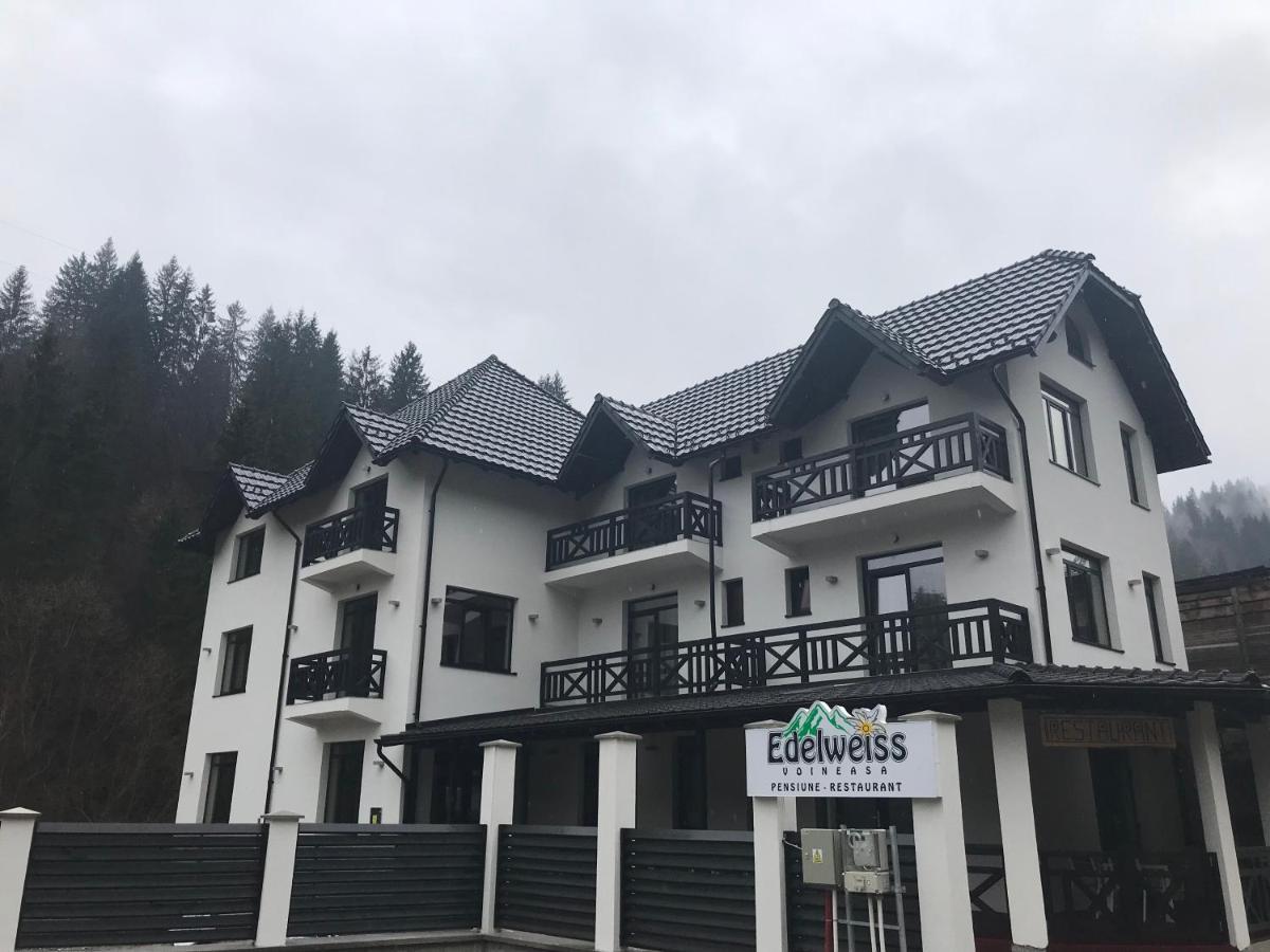 Pensiunea Edelweiss Voineasa Exterior foto